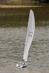 DSC06845 © Peter Taylor 2011