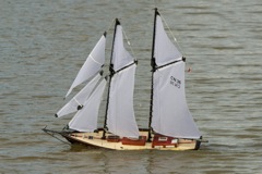 DSC06981 © Peter Taylor 2011