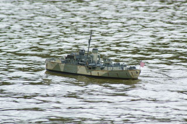 A100.07072109 © Peter Taylor 2008