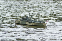 A100.07072109 © Peter Taylor 2008
