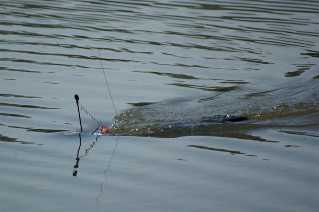 U Boat 1 (18)