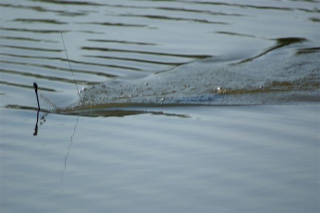 U Boat 1 (19)