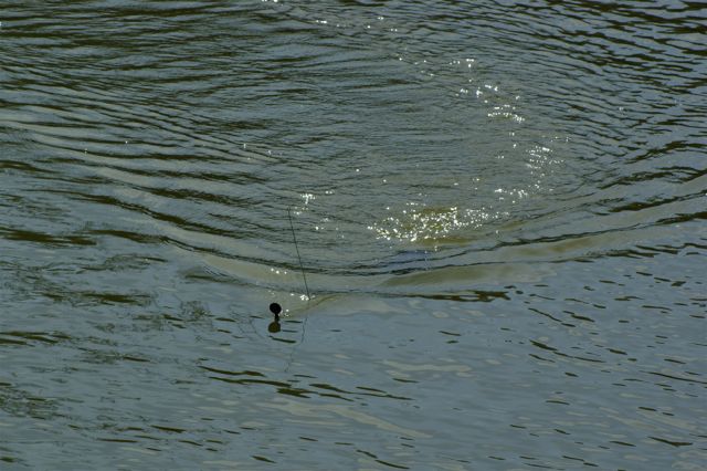 U Boat 1 (29)