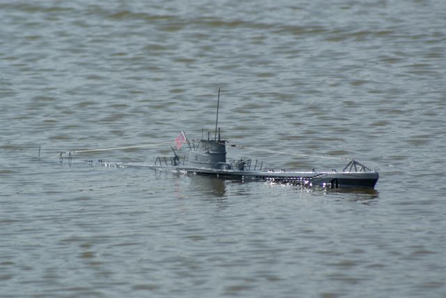 A100.08042110  © Peter Taylor 2010 