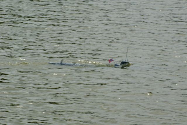 A100.07050504  © Peter Taylor 2007 