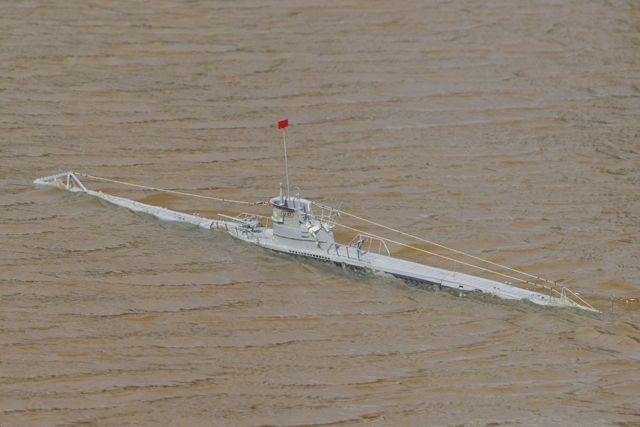 DSC06518 © Peter Taylor 2011