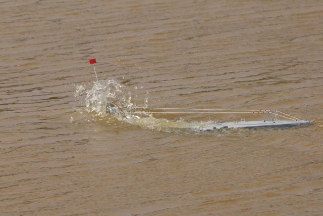 DSC06519 © Peter Taylor 2011