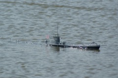 A100.08042110 © Peter Taylor 2010