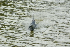 A100.07050501 © Peter Taylor 2007