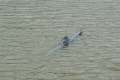 A100.07050505 © Peter Taylor 2007