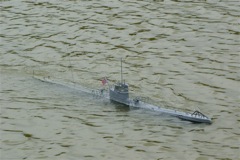 A100.07050506 © Peter Taylor 2007