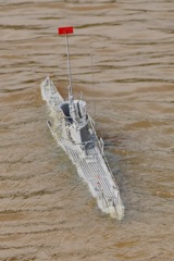 DSC06502 © Peter Taylor 2011