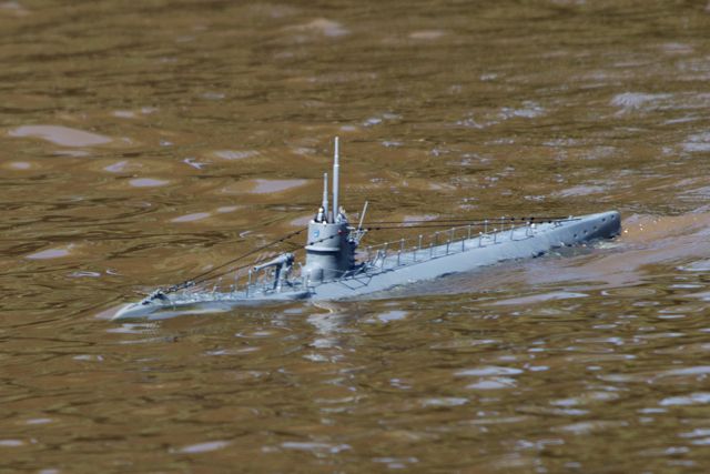 DSC06338 © Peter Taylor 2011