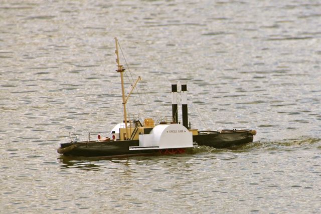 DSC00479 © Peter Taylor 2012