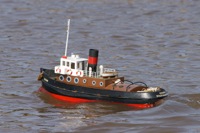 DSC09797 © Peter Taylor 2012