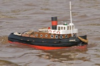 DSC05068 © Peter Taylor 2011