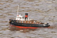 DSC05066 © Peter Taylor 2011