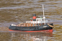 DSC04958 © Peter Taylor 2011