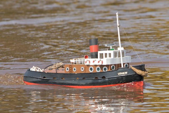 DSC04958 © Peter Taylor 2011
