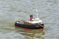 DSC00933 © Peter Taylor 2009