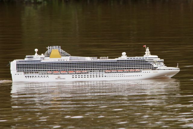 DSC06691 © Peter Taylor 2011