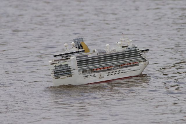 DSC06689 © Peter Taylor 2011