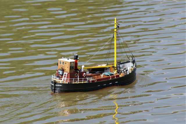 DSC03064 © Peter Taylor 2010