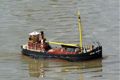 DSC03062 © Peter Taylor 2010