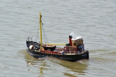 DSC03057 © Peter Taylor 2010