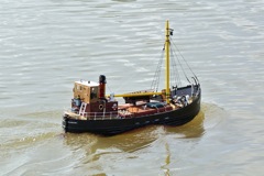 DSC03102 © Peter Taylor 2010