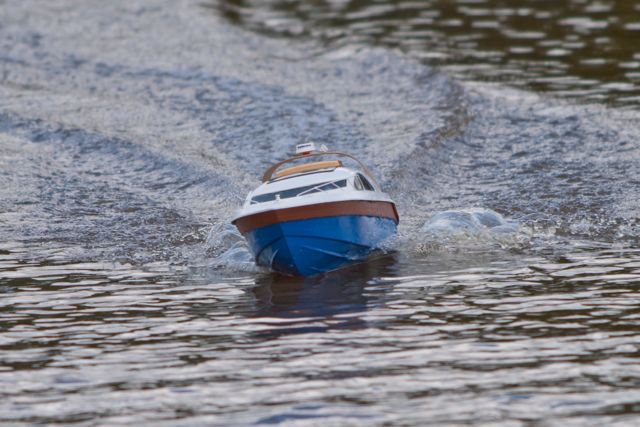 DSC05584 © Peter Taylor 2011