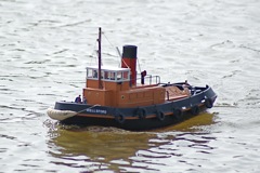 DSC05092 © Peter Taylor 2008