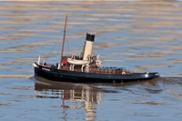DSC09740 © Peter Taylor 2012