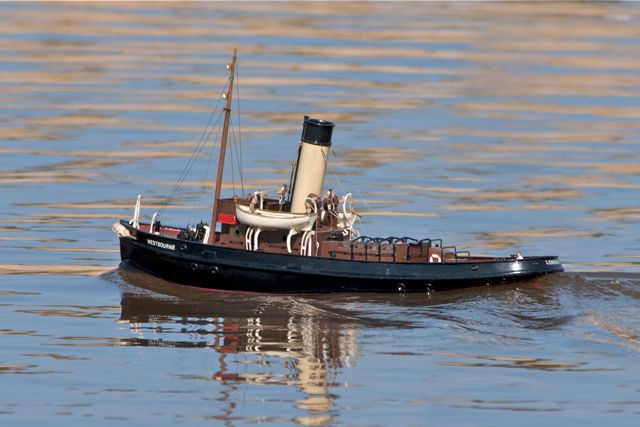 DSC09740 © Peter Taylor 2012