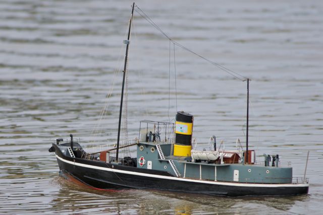 DSC07701 © Peter Taylor 2011