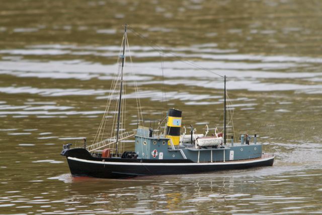 DSC07698 © Peter Taylor 2011