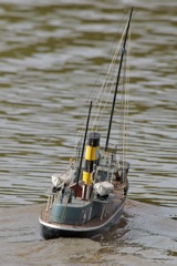 DSC07710 © Peter Taylor 2011