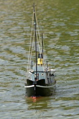 DSC00871 © Peter Taylor 2009