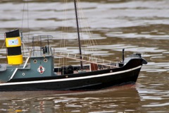 DSC07707 © Peter Taylor 2011