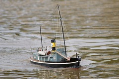 DSC07705 © Peter Taylor 2011