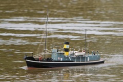 DSC07698 © Peter Taylor 2011