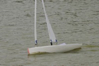 DSC08175 © Peter Taylor 2011