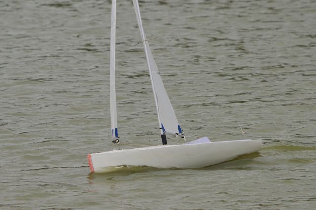 DSC08175 © Peter Taylor 2011
