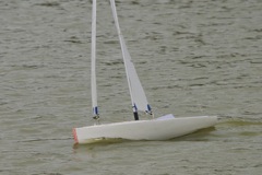 DSC08175 © Peter Taylor 2011