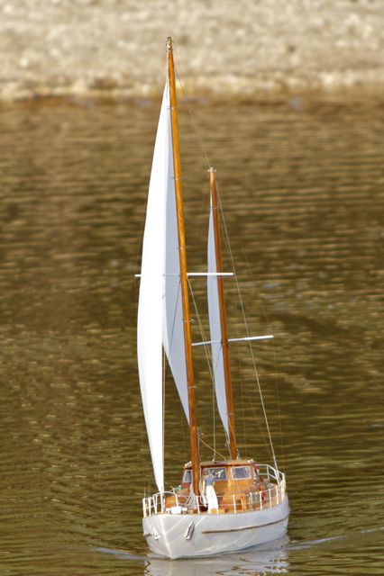 DSC09472 © Peter Taylor 2012