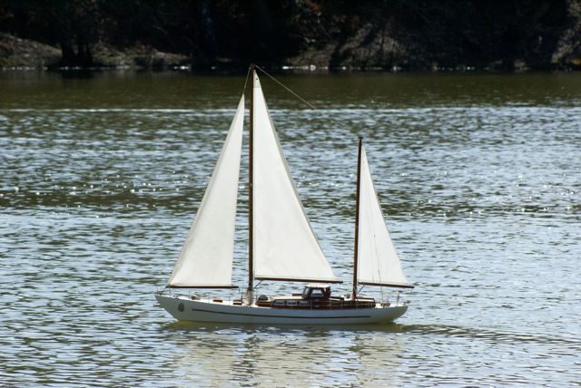 DSC09110 © Peter Taylor 2009