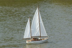 A100.07042805  © Peter Taylor 2007