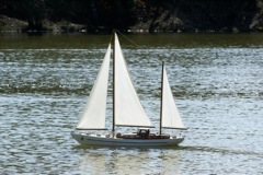 DSC09110 © Peter Taylor 2009