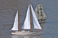 DSC09751 © Peter Taylor 2012