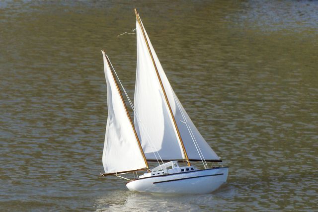 DSC02877 © Peter Taylor 2010